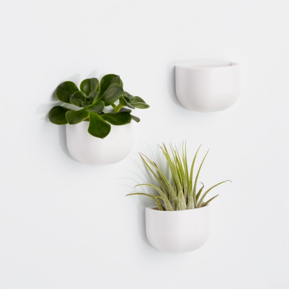 Mini magnetic planter (set of 3)
